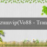 zumvip(Vo88 – Trang cá cược trực tuyến hàng đầu Việt Nam)