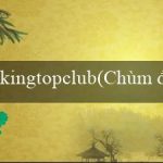 kingtopclub(Chùm đền vàng của người Maya)