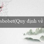 sbobet(Quy định về Quản lý và Sử dụng Tài nguyên nước)