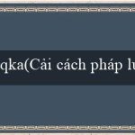 qka(Cải cách pháp luật Đăng ký Kinh doanh)