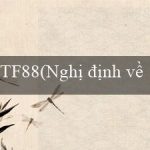 TF88(Nghị định về Nhà nước hóa doanh nghiệp)