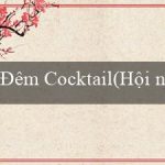 Đêm Cocktail(Hội nghị thượng đỉnh nhóm G7 1979)