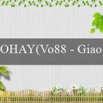 OHAY(Vo88 – Giao diện mới, trải nghiệm cá cược thú vị)