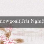 nowgoal(Trải Nghiệm Cá Cược Tuyệt Vời Tại Vo88)