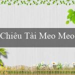 Chiêu Tài Meo Meo(Các trò chơi và cược trực tuyến tại sòng bài Vo88)