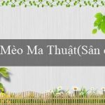 Mèo Ma Thuật(Sân chơi cá cược trực tuyến uy tín đẳng cấp)