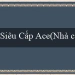 Siêu Cấp Ace(Nhà cái đánh bài và chơi trò chơi trực tuyến Vo88)