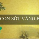 CƠN SỐT VÀNG BIT(Phiên bản mới của trang web đánh bài Vo88)