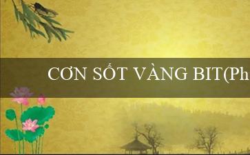 CƠN SỐT VÀNG BIT(Phiên bản mới của trang web đánh bài Vo88)