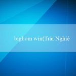 bigbom win(Trải Nghiệm Cá Cược Hấp Dẫn tại Vo88)