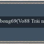 bong69(Vo88 Trải nghiệm cá cược đỉnh cao và đa dạng)