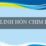 LINH HỒN CHIM LỬA(Đáng chú ý với sòng bạc trực tuyến Vo88)