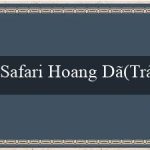 Safari Hoang Dã(Trải Nghiệm Hấp Dẫn Tại Thế Giới Giải Trí Vo88)