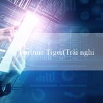 Fortune Tiger(Trải nghiệm cá cược đỉnh cao tại NHÀ CÁI VO88)