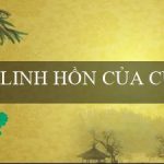 LINH HỒN CỦA CUỘC PHIÊU LƯU(Trang web cá cược Vo88 với nền tảng tiếng Việt)